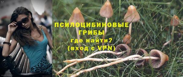 эйфоретик Володарск