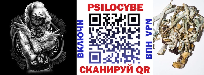 Галлюциногенные грибы GOLDEN TEACHER  купить наркотик  Гаврилов Посад 